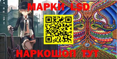 mdpv Заводоуковск