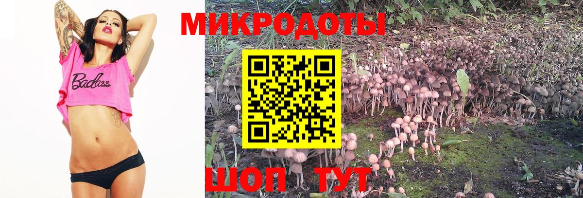 Кумертау  Галлюциногенные грибы Psilocybine cubensis  Вход с VPN 